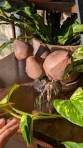 chocolate covered strawberries in a glass vase, next to some plants
